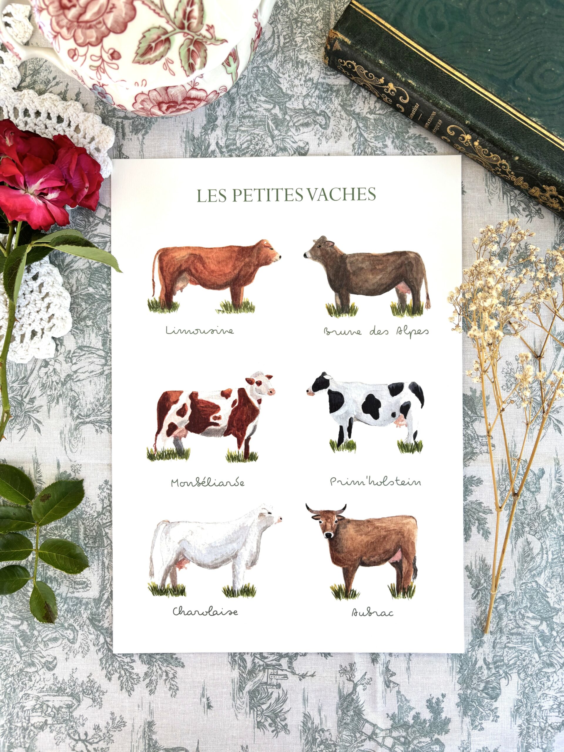 Affiche "Les petites vaches"