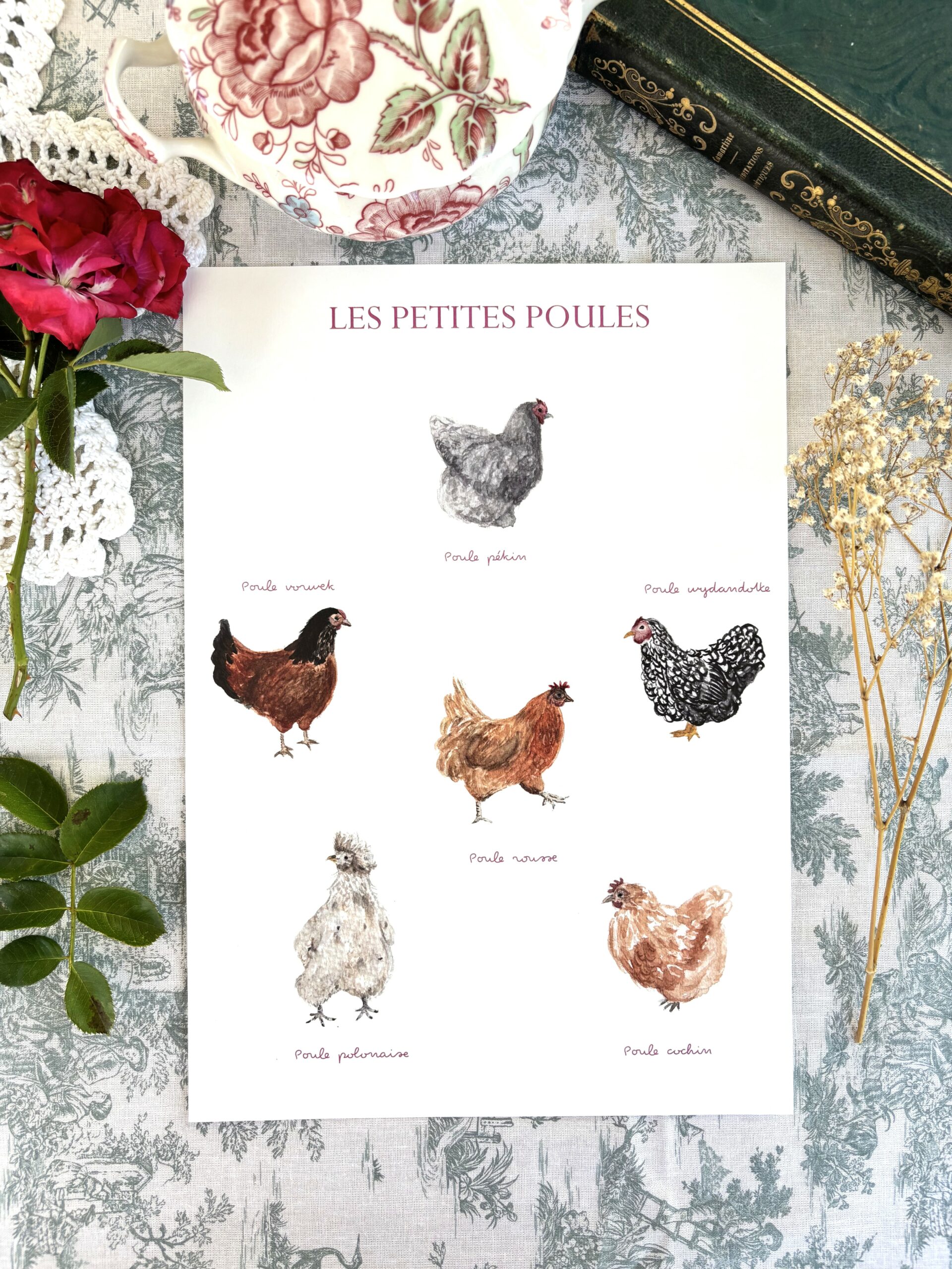 Affiche "Les petites poules"