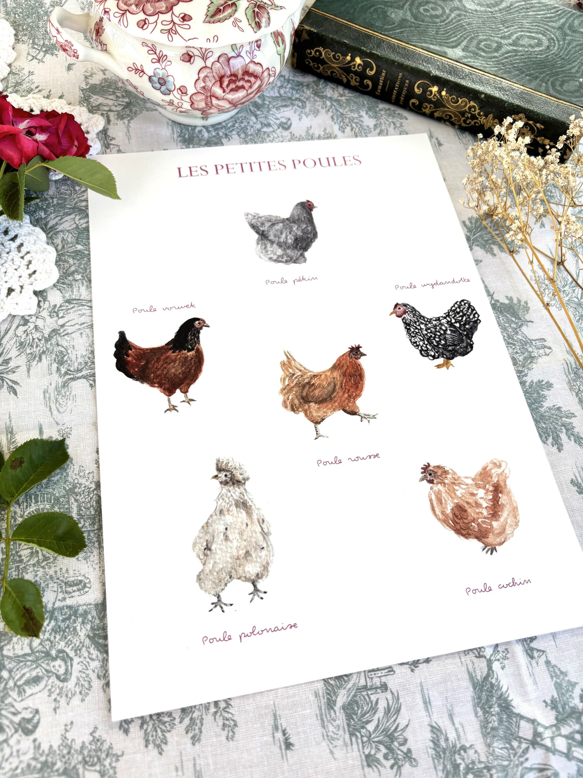 Affiche "Les petites poules" â Image 2