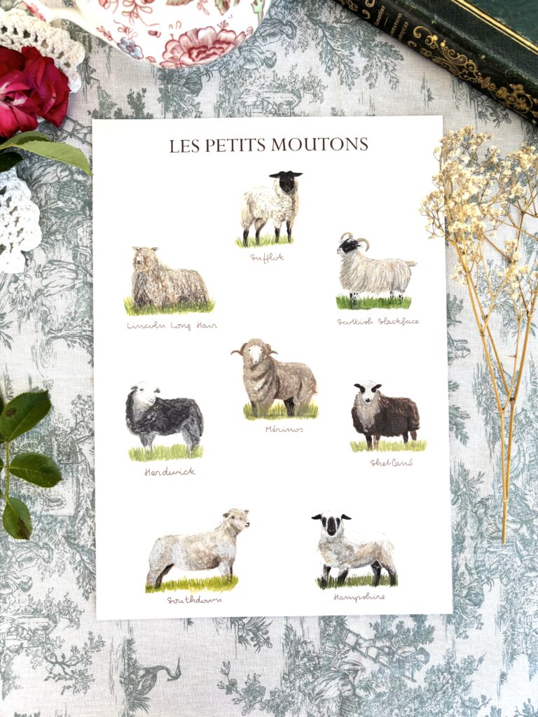 Affiche "Les petits moutons"