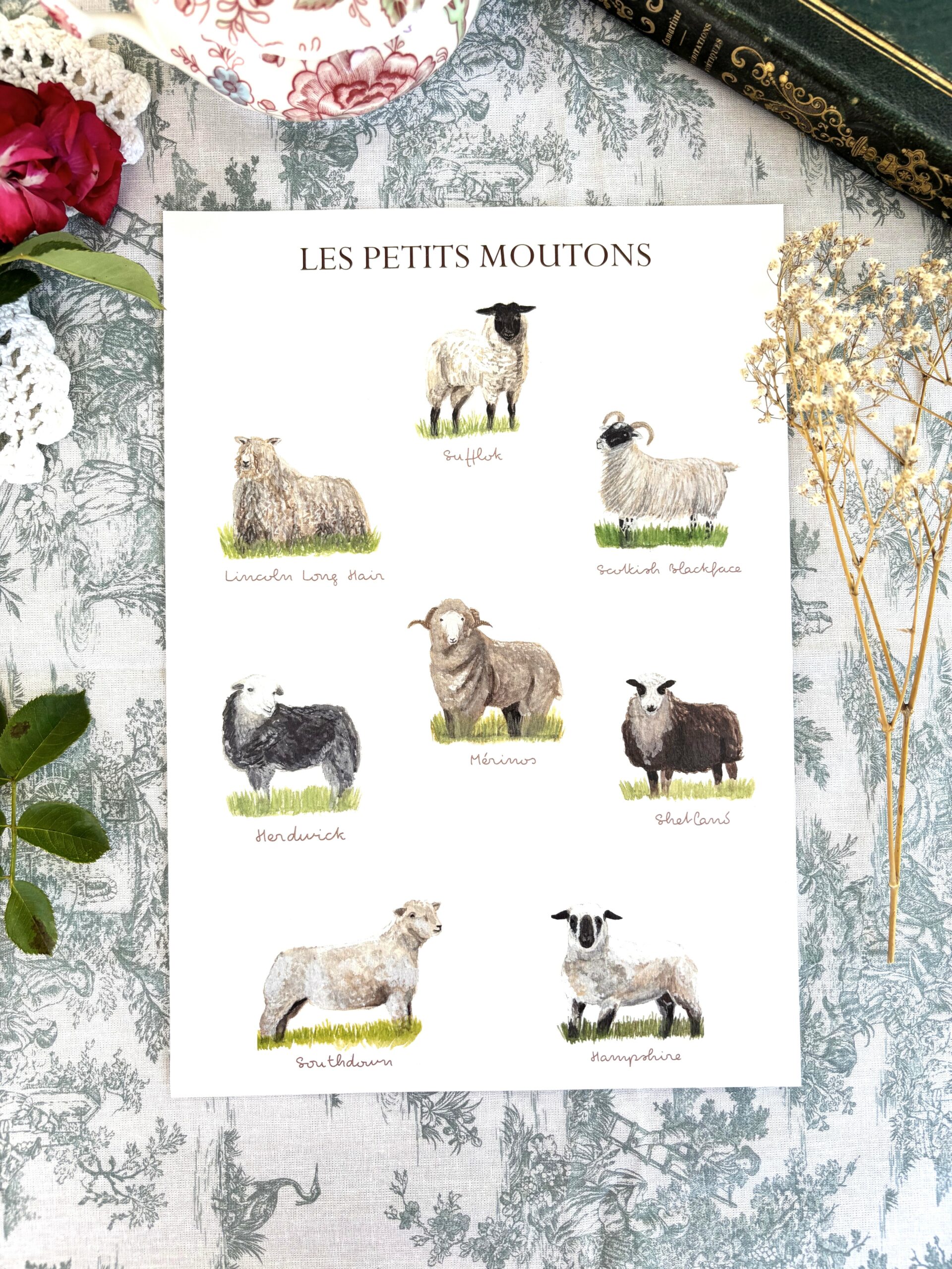 Affiche "Les petits moutons"