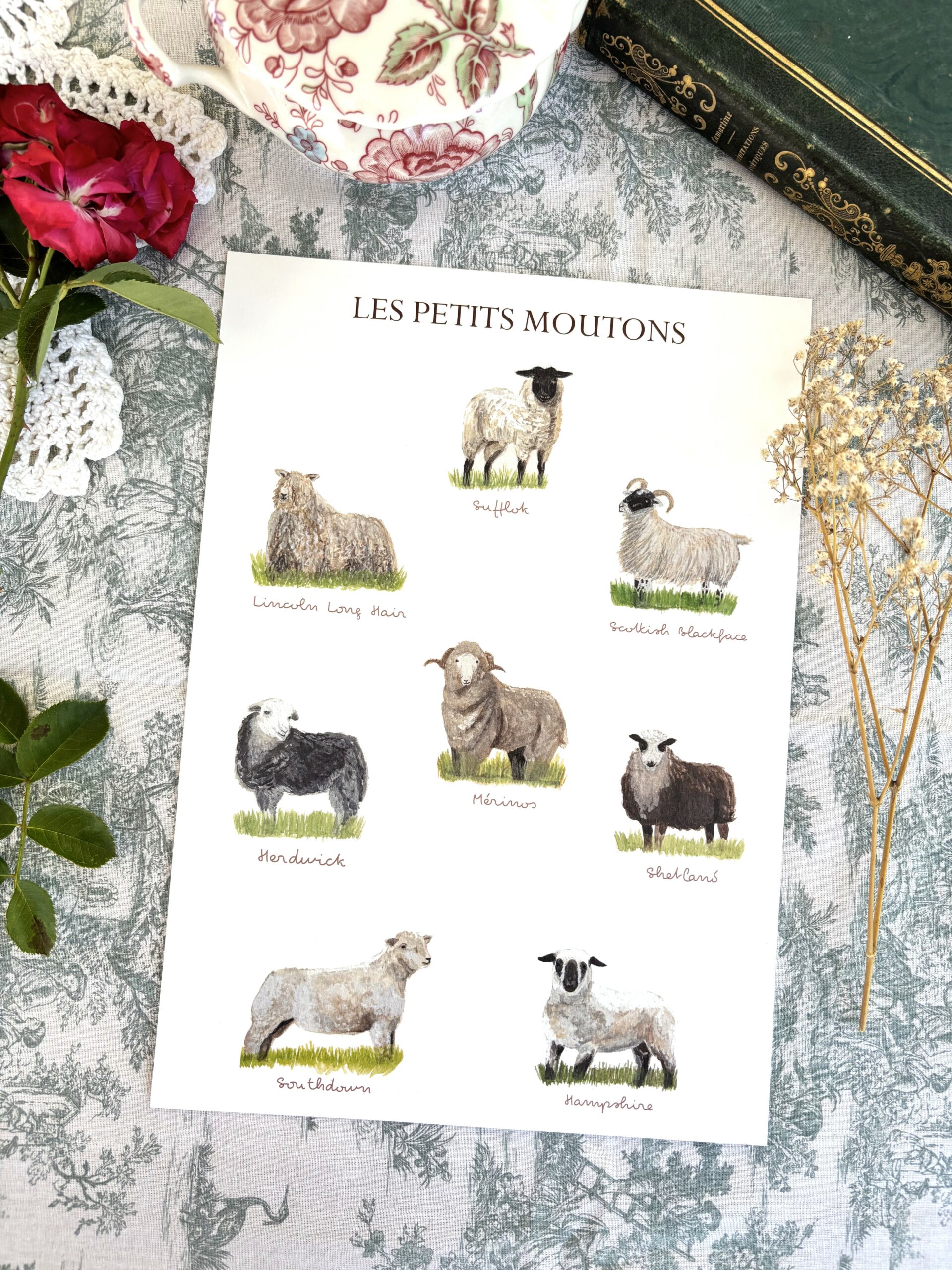 Affiche "Les petits moutons" â Image 4