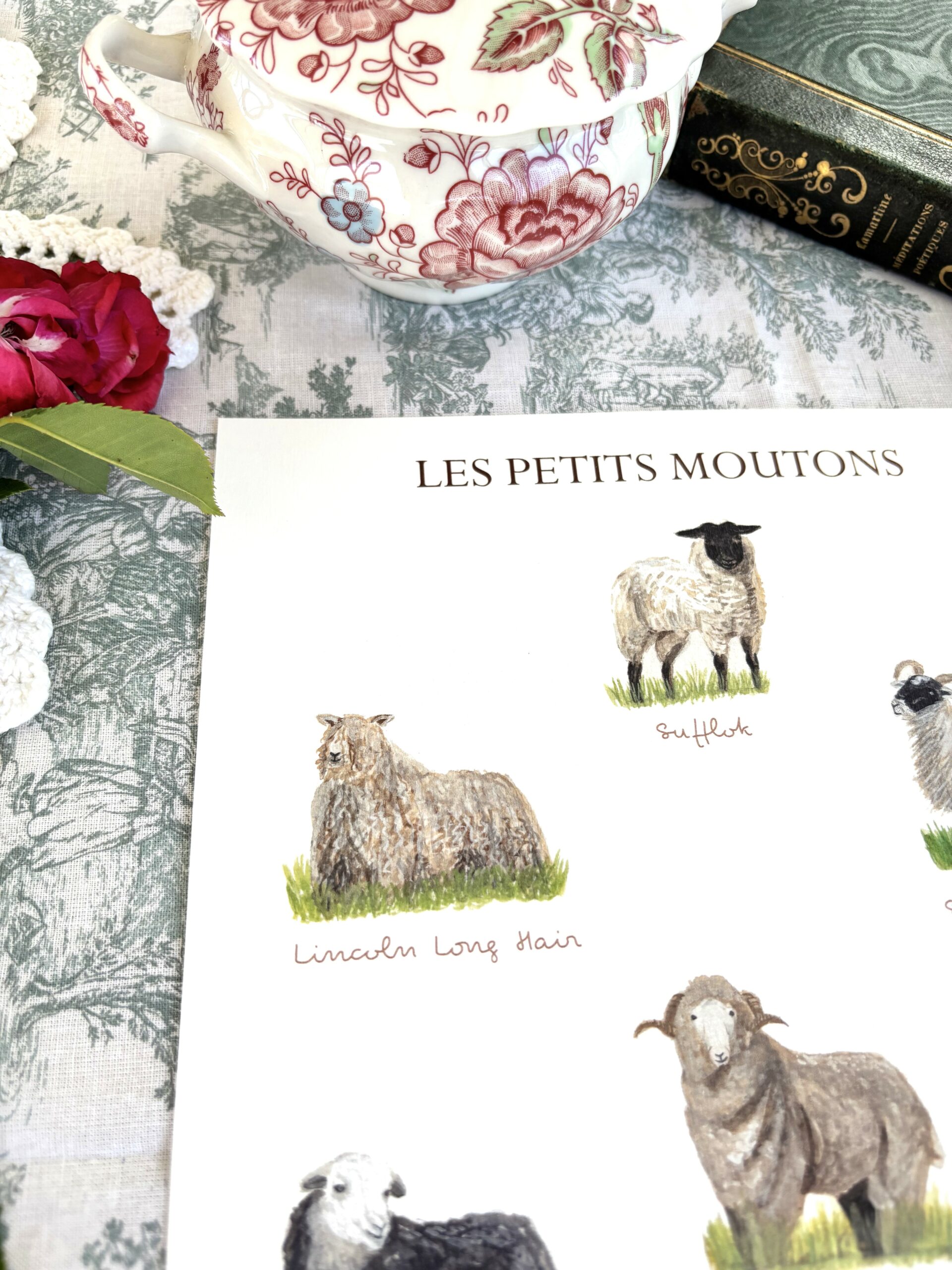 Affiche "Les petits moutons" â Image 3